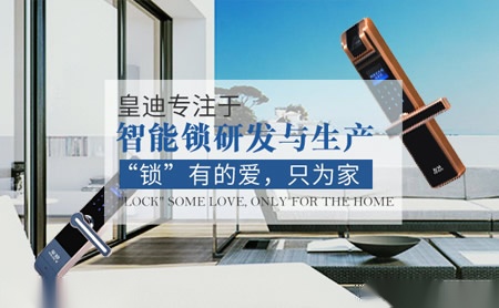 皇迪HDIOV 展示图