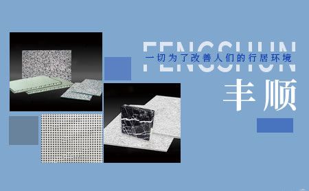 丰顺FENGSHUN 展示图