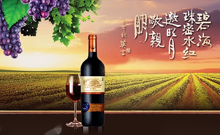 刘氏铜门 展示图