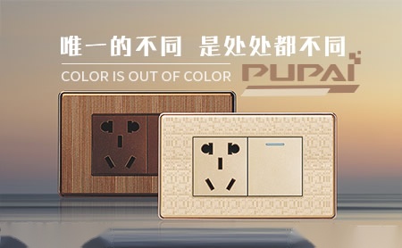 普派PUPAI 展示图
