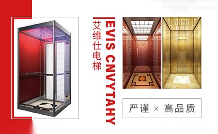 EVIS CNVYTAHY 展示图