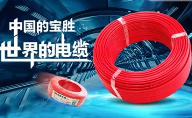 宝胜BS 展示图