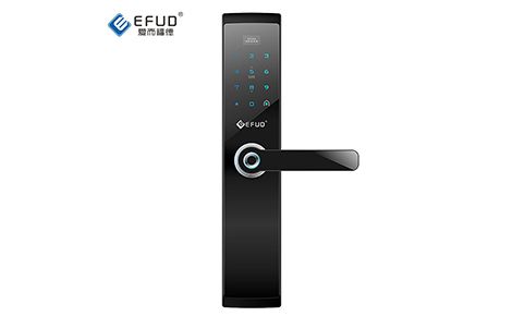 爱而福德EFUD 展示图