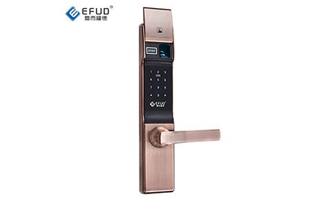 爱而福德EFUD 展示图