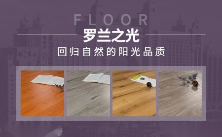 罗兰之光 展示图