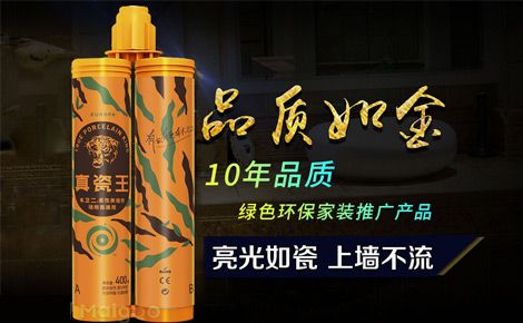 木卫二 展示图