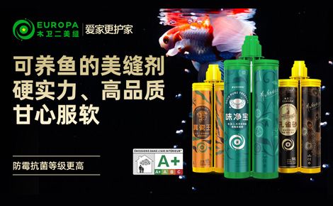 木卫二 展示图