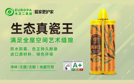 木卫二 展示图